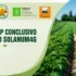 PSR Lazio Mis. 16.2 Progetto SOLANUM4G