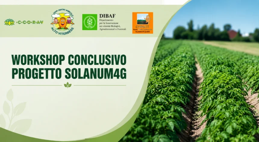 PSR Lazio Mis. 16.2 Progetto SOLANUM4G